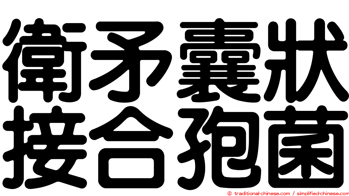 衛矛囊狀接合孢菌