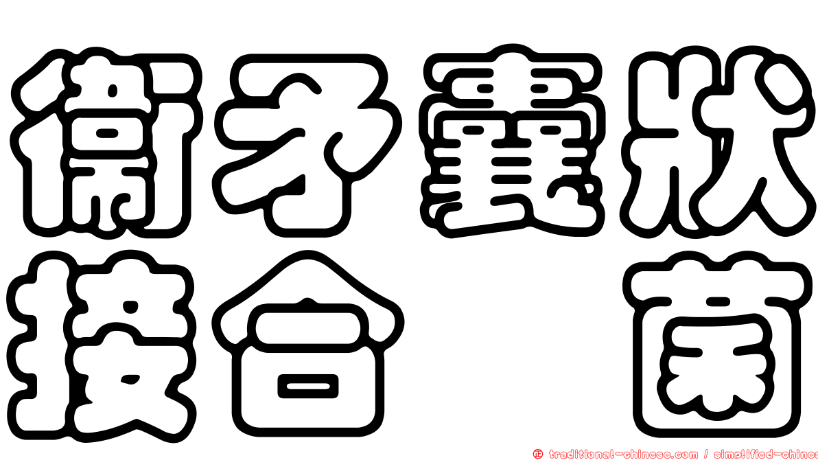 衛矛囊狀接合孢菌