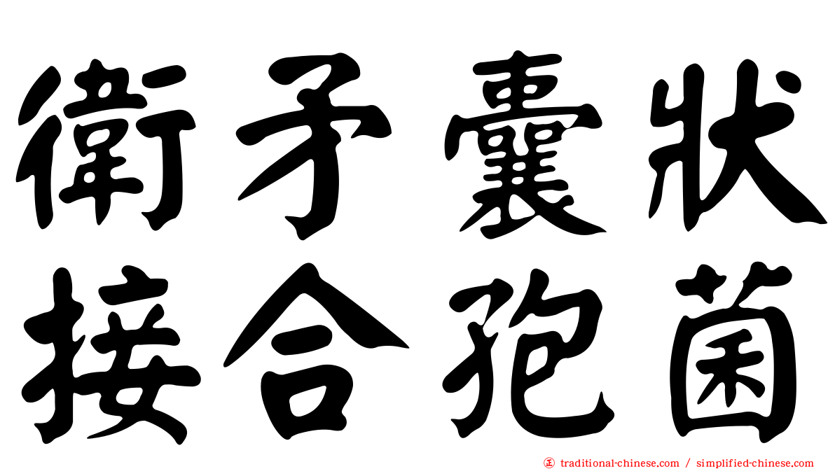 衛矛囊狀接合孢菌