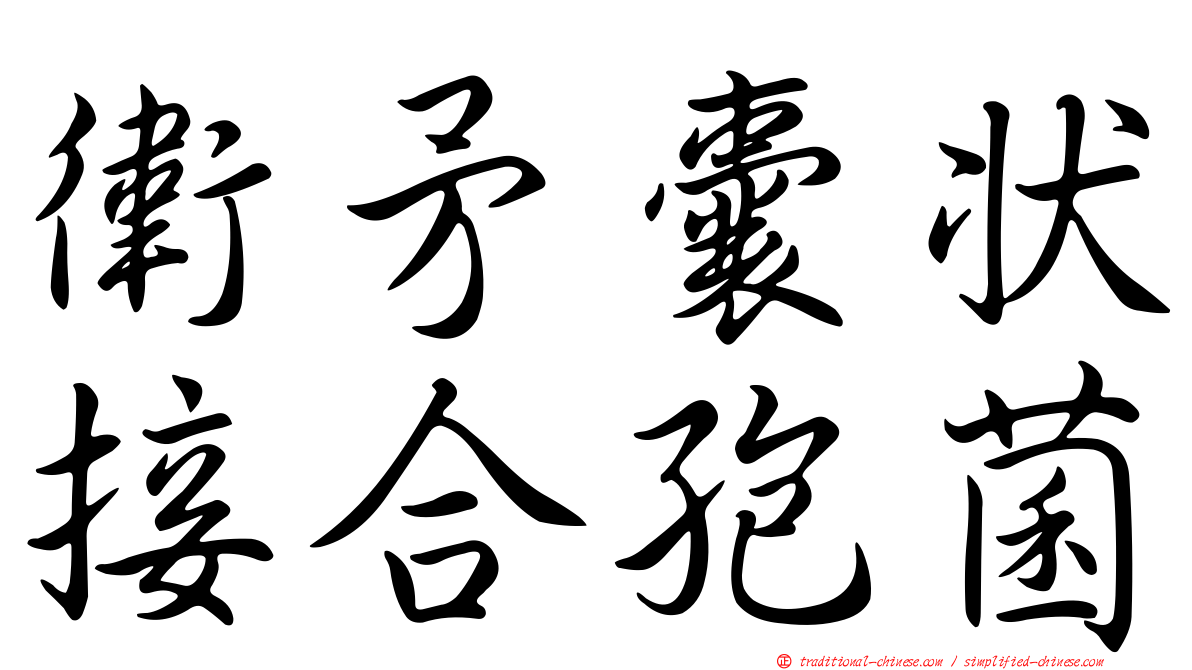 衛矛囊狀接合孢菌