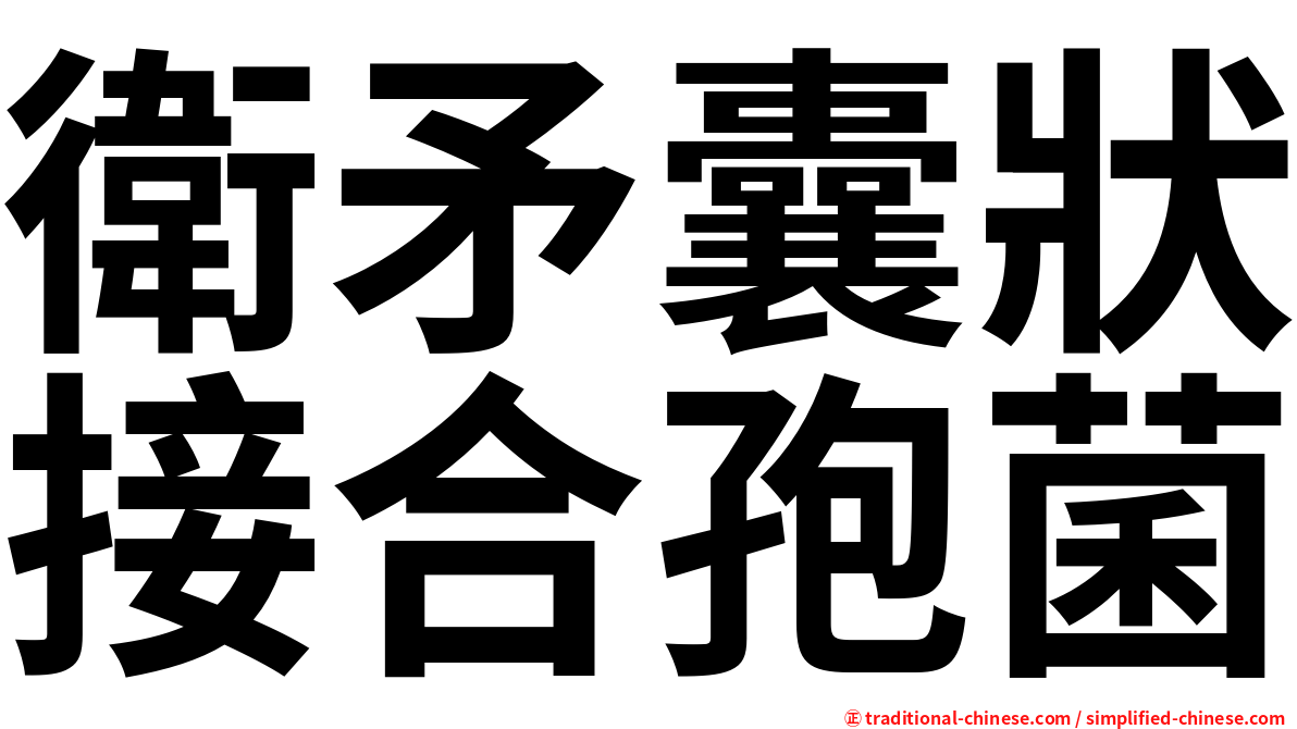 衛矛囊狀接合孢菌