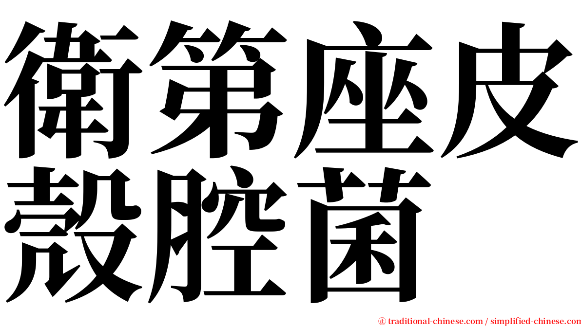 衛第座皮殼腔菌 serif font