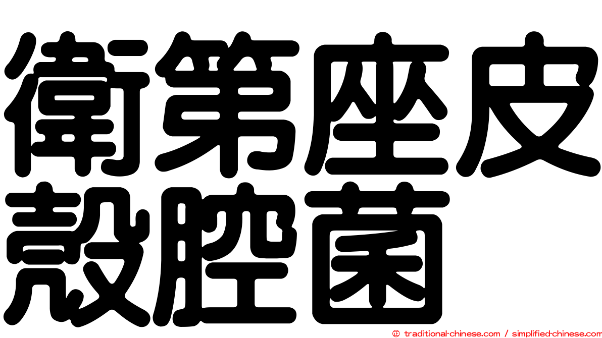 衛第座皮殼腔菌