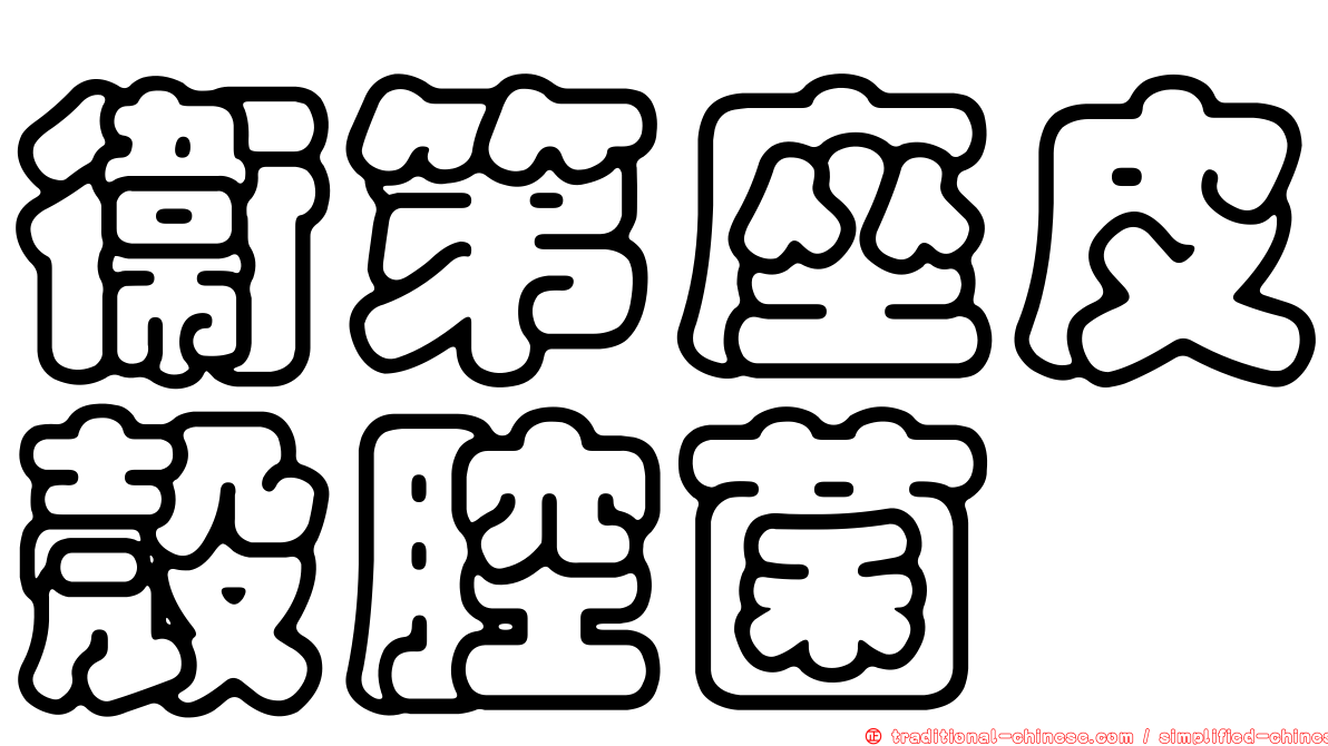 衛第座皮殼腔菌