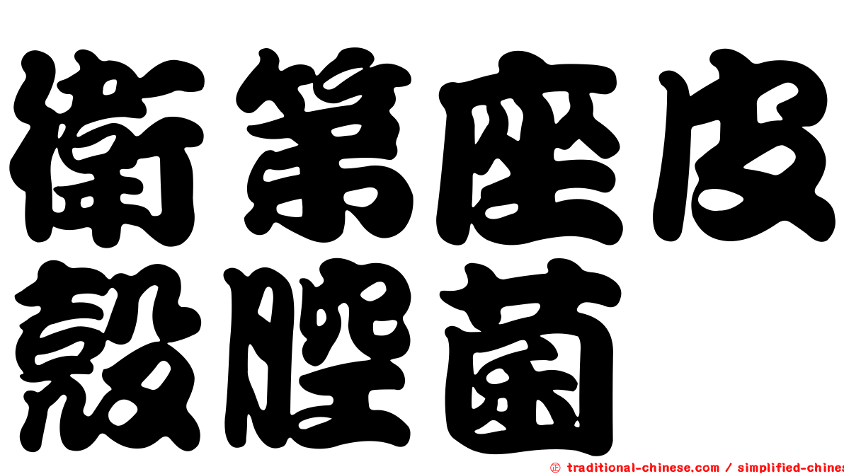 衛第座皮殼腔菌