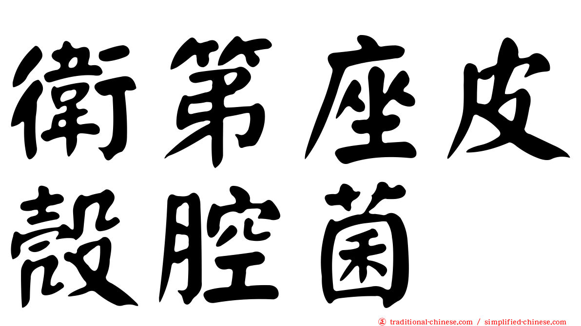 衛第座皮殼腔菌