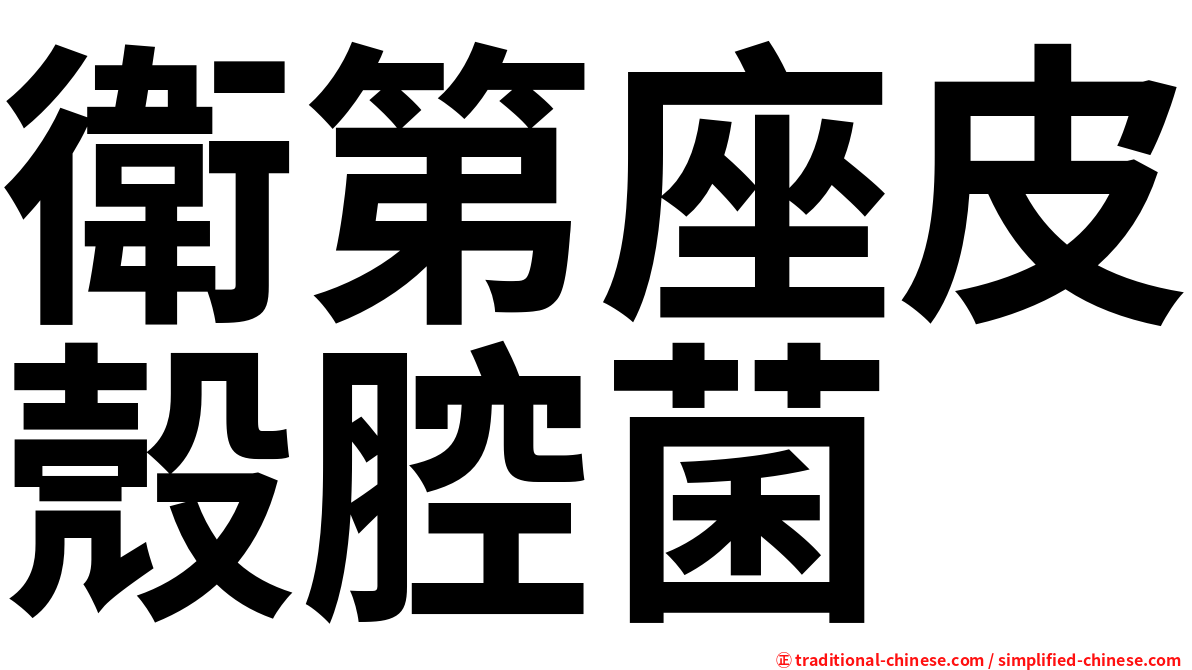 衛第座皮殼腔菌