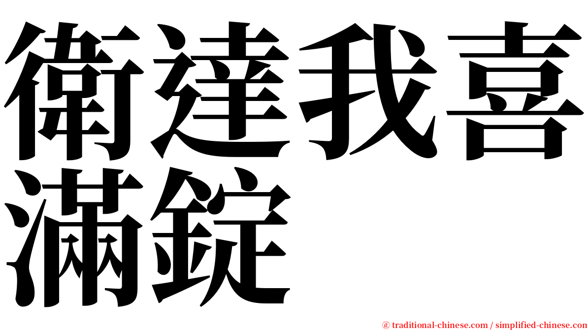 衛達我喜滿錠 serif font