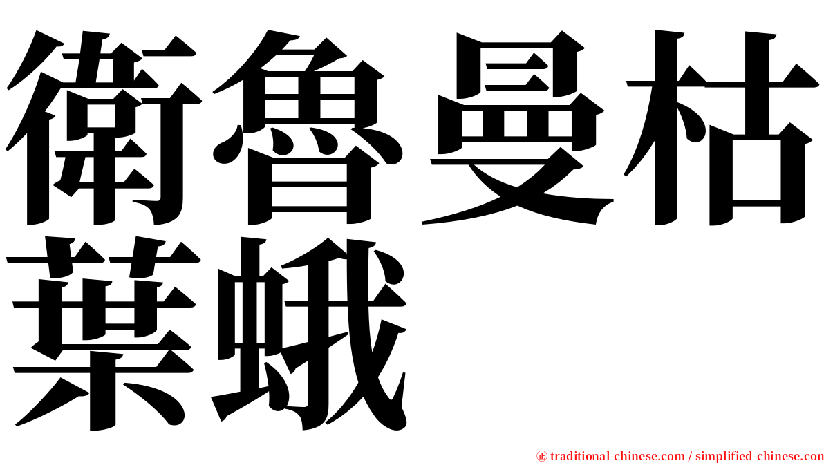 衛魯曼枯葉蛾 serif font