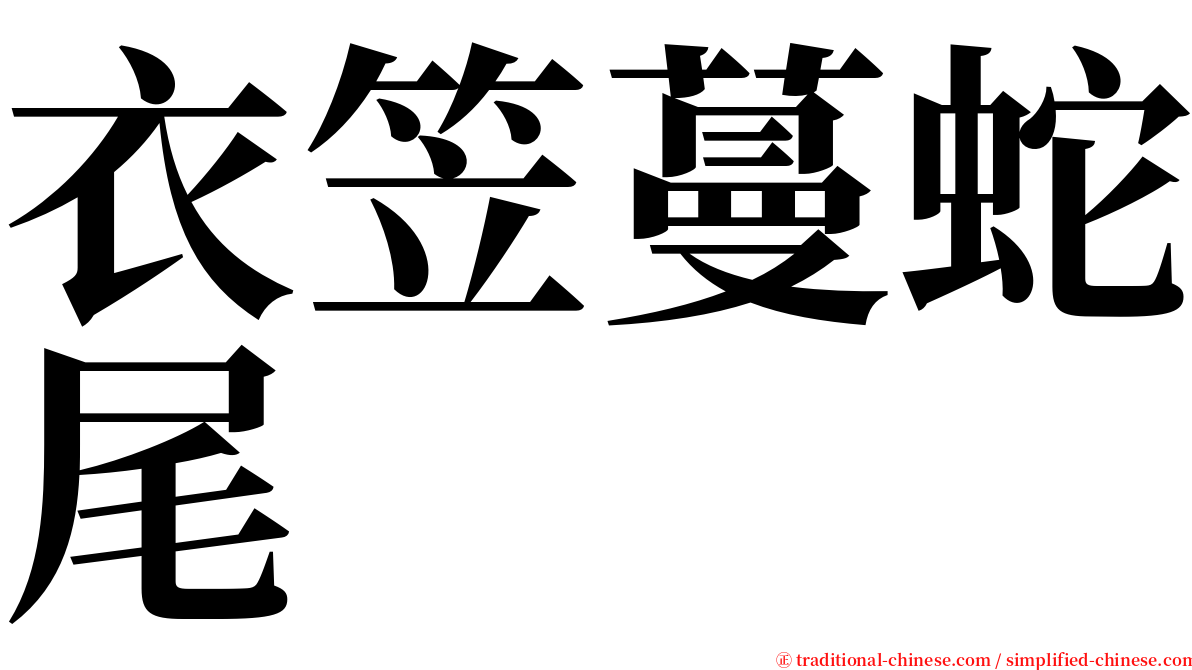 衣笠蔓蛇尾 serif font