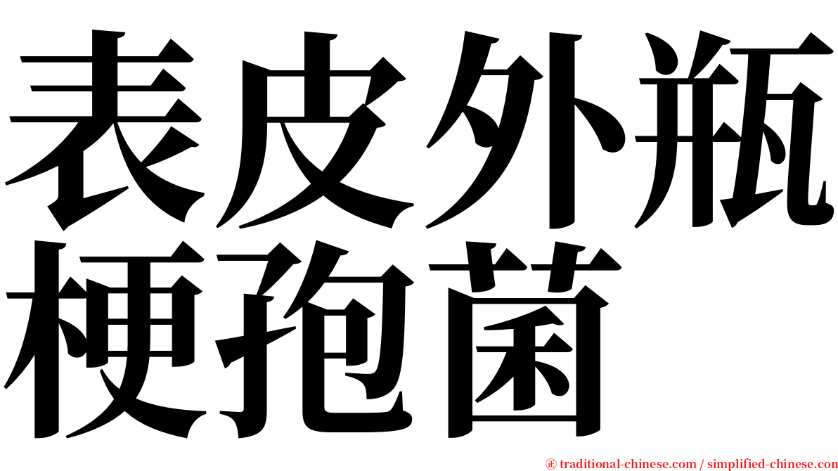 表皮外瓶梗孢菌 serif font