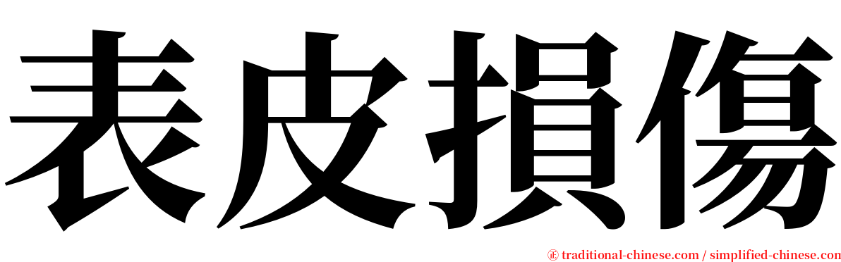 表皮損傷 serif font