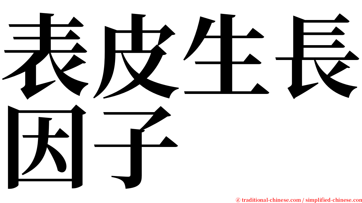 表皮生長因子 serif font