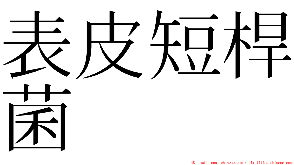 表皮短桿菌 ming font