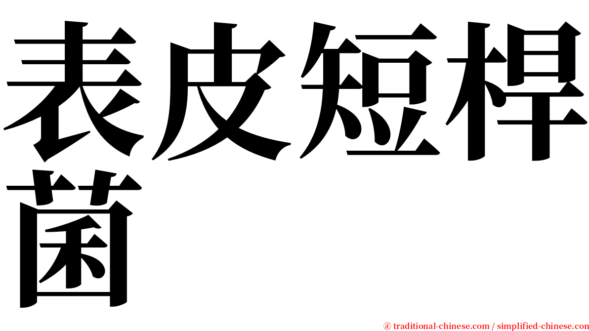 表皮短桿菌 serif font