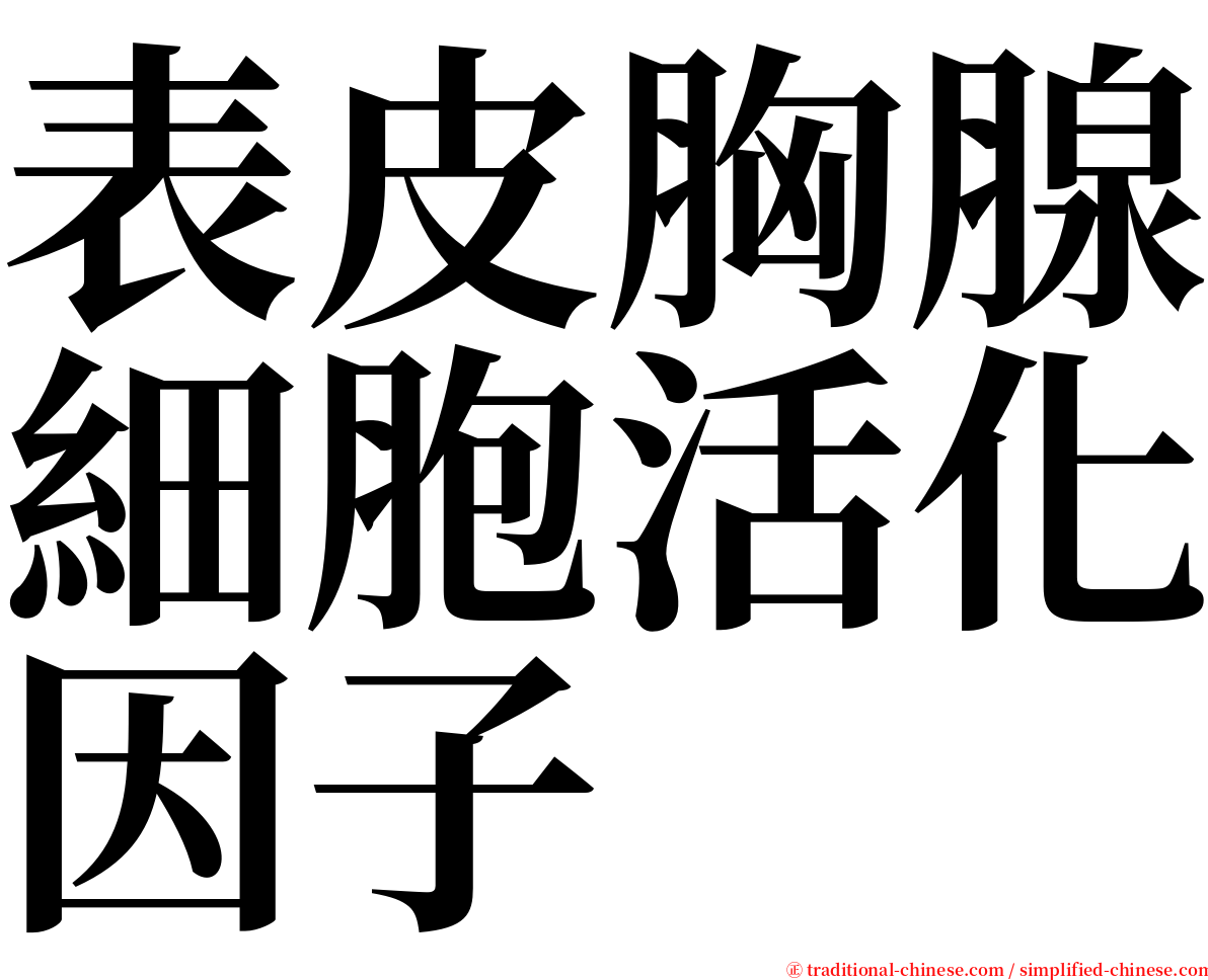 表皮胸腺細胞活化因子 serif font