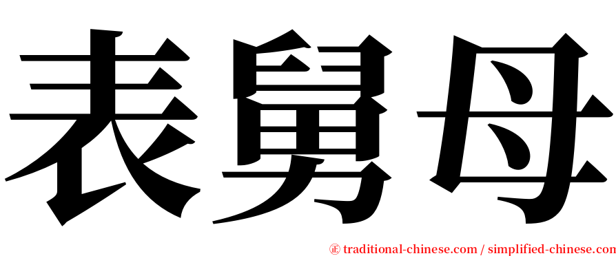 表舅母 serif font