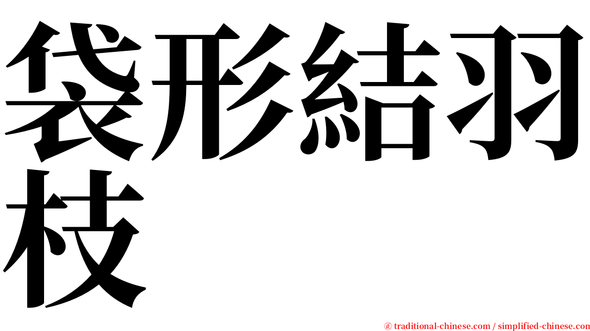 袋形結羽枝 serif font