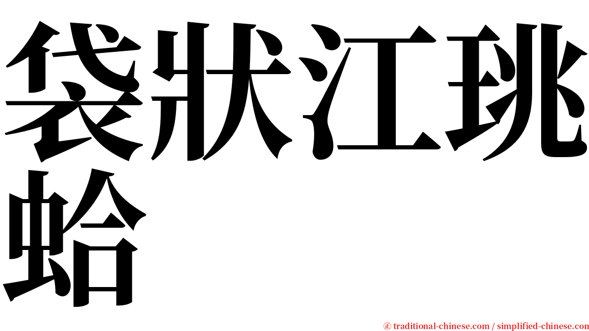 袋狀江珧蛤 serif font