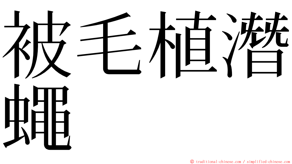 被毛植潛蠅 ming font