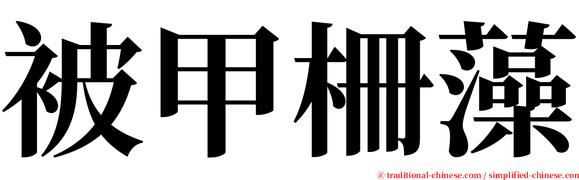 被甲柵藻 serif font