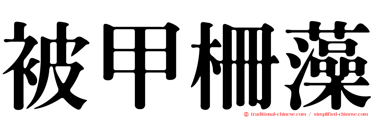 被甲柵藻