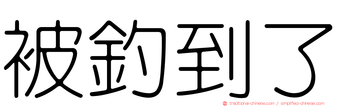 被釣到了