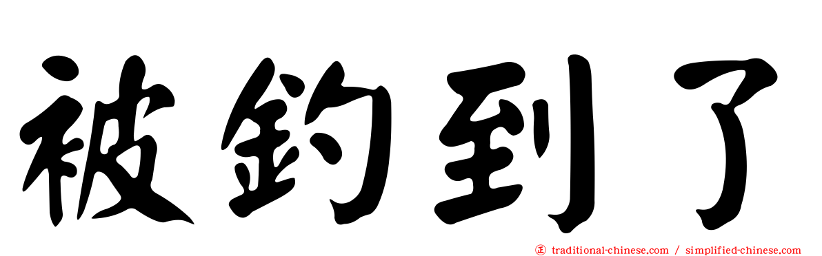 被釣到了