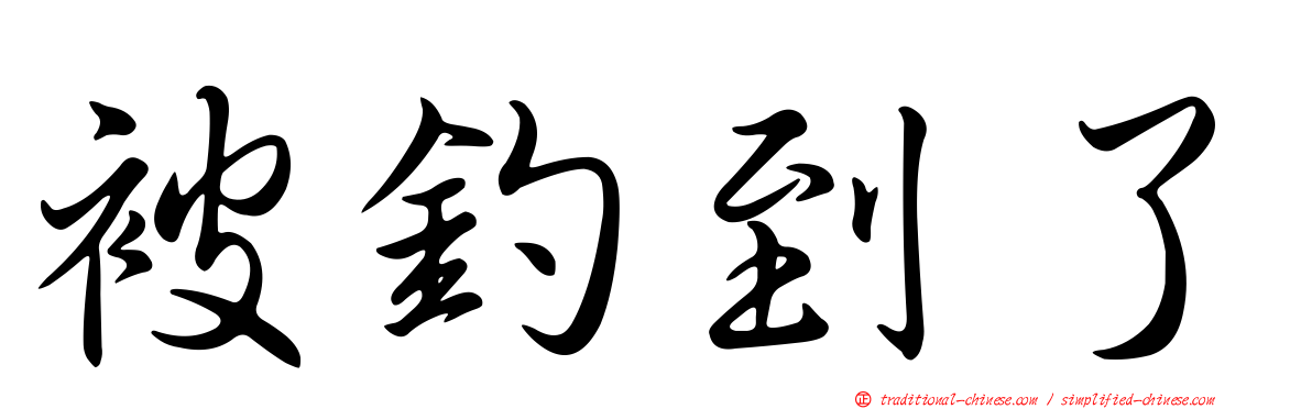 被釣到了