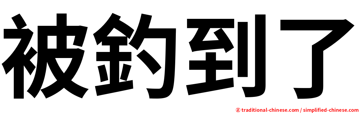 被釣到了