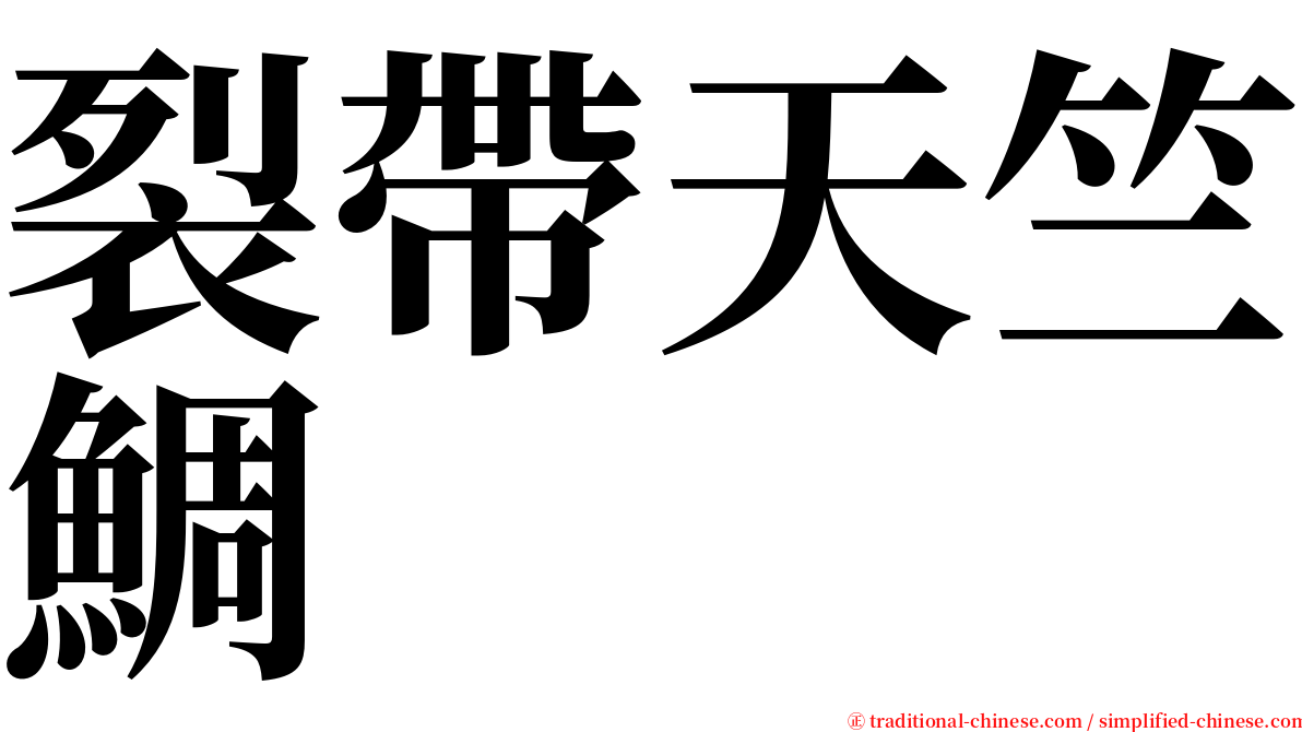 裂帶天竺鯛 serif font