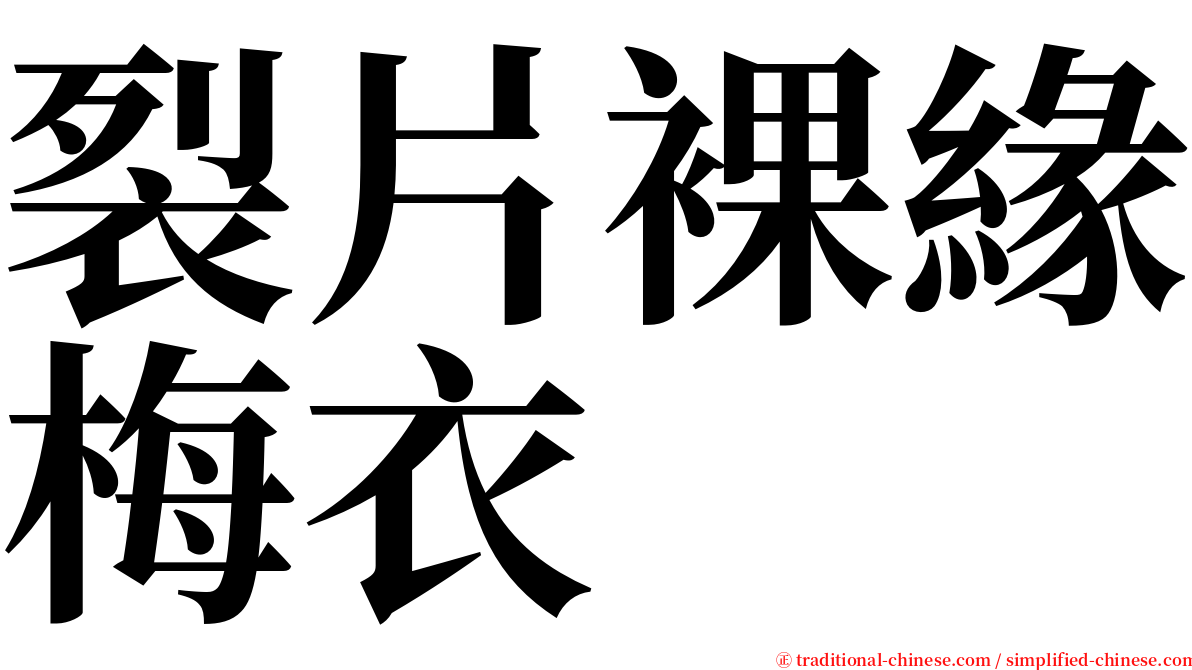 裂片裸緣梅衣 serif font