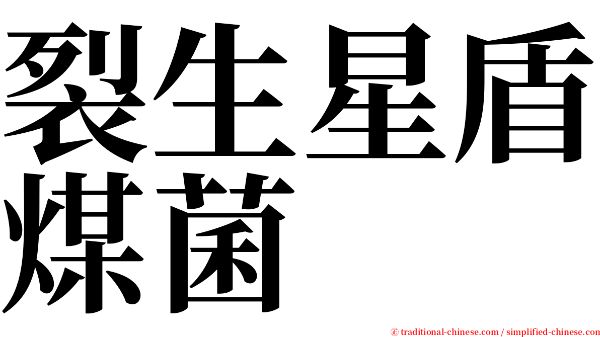 裂生星盾煤菌 serif font