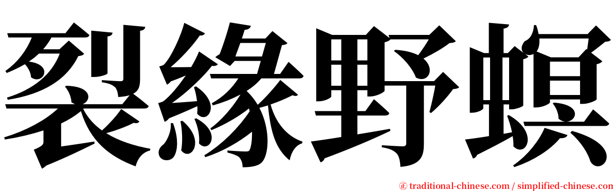 裂緣野螟 serif font