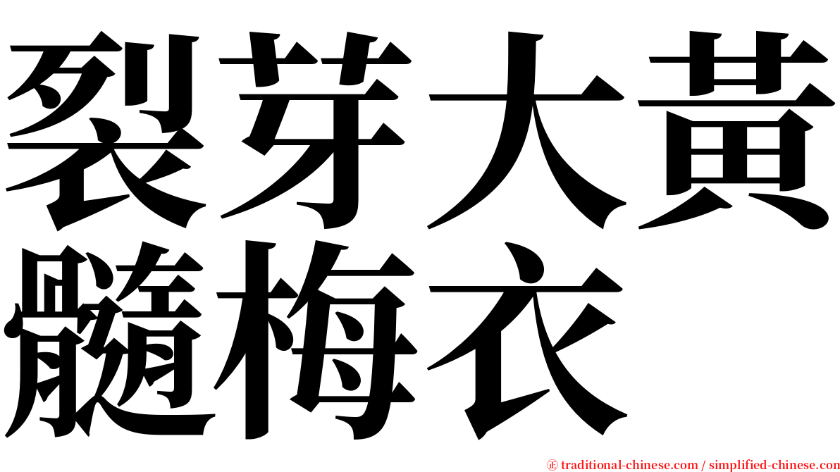 裂芽大黃髓梅衣 serif font