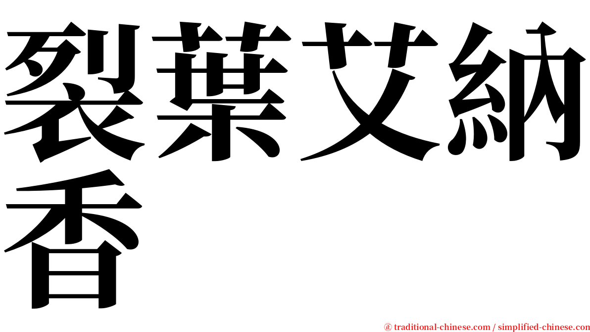 裂葉艾納香 serif font