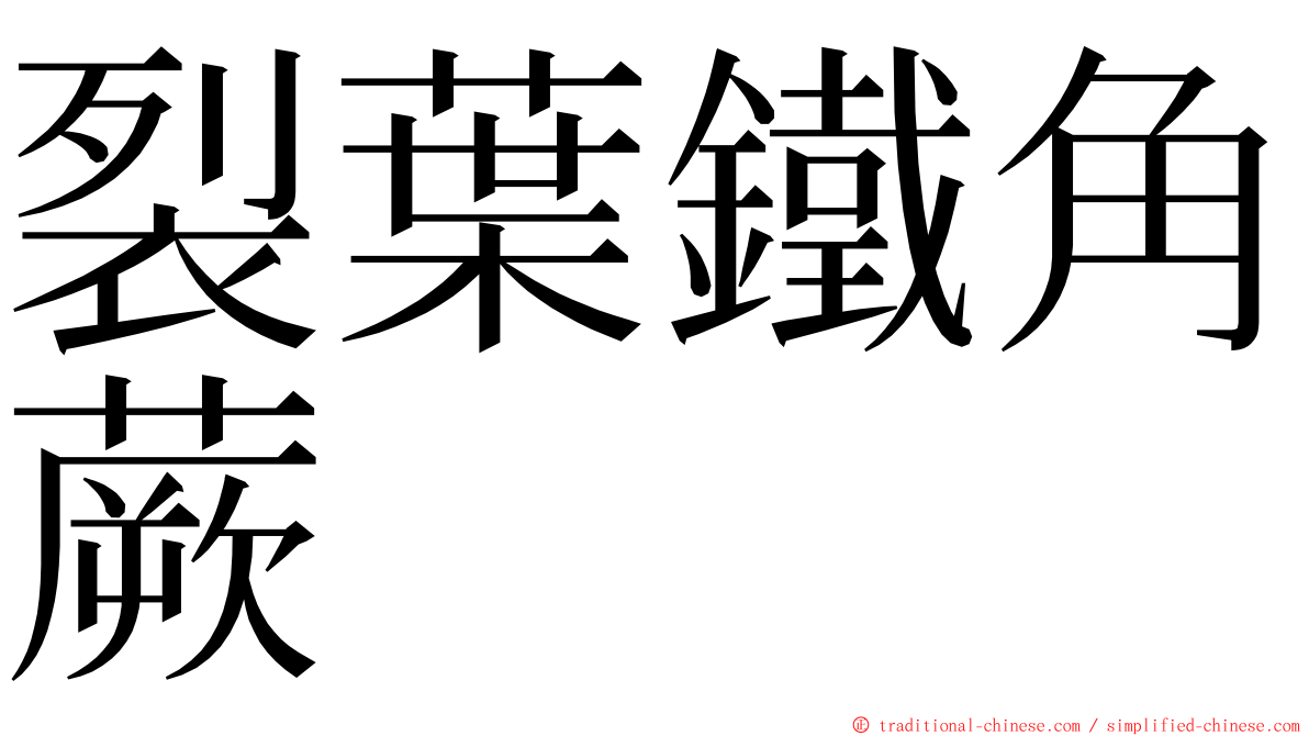 裂葉鐵角蕨 ming font