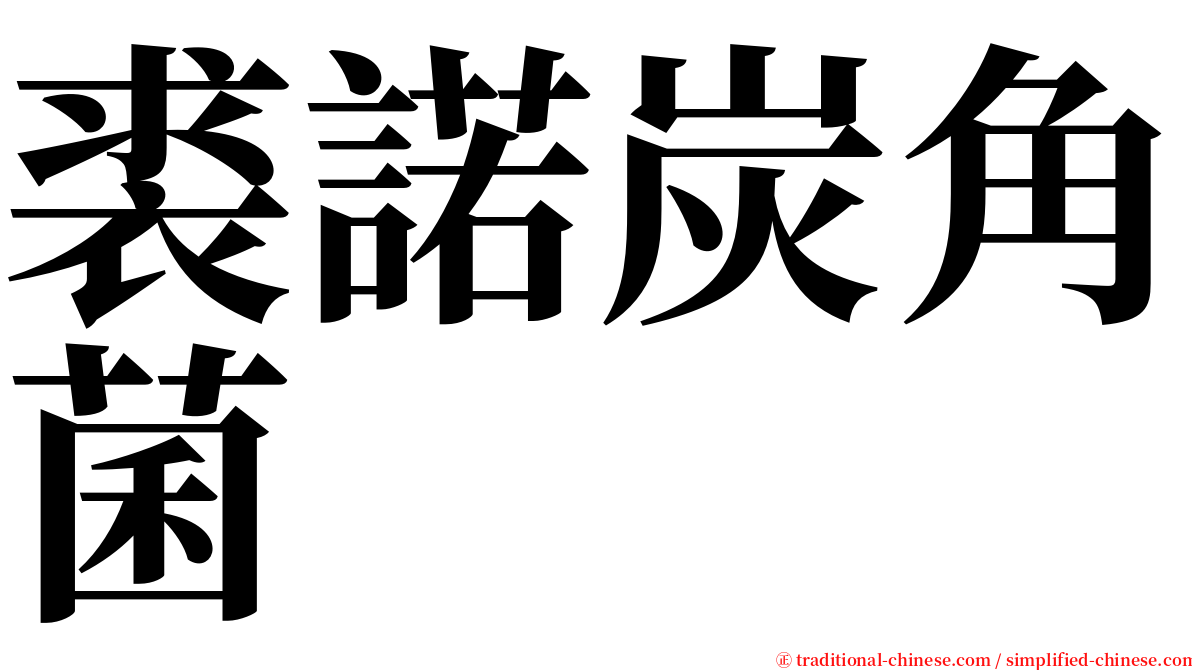 裘諾炭角菌 serif font