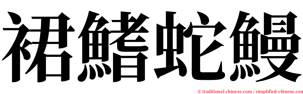 裙鰭蛇鰻 serif font