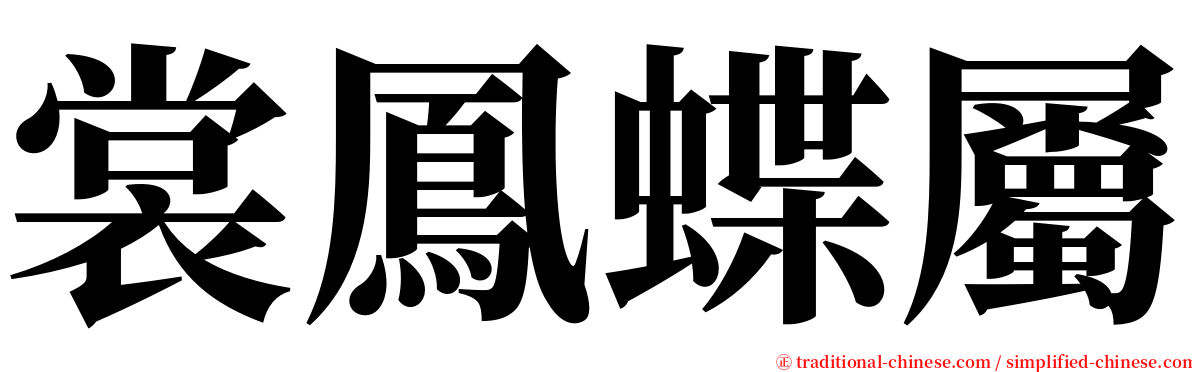 裳鳳蝶屬 serif font