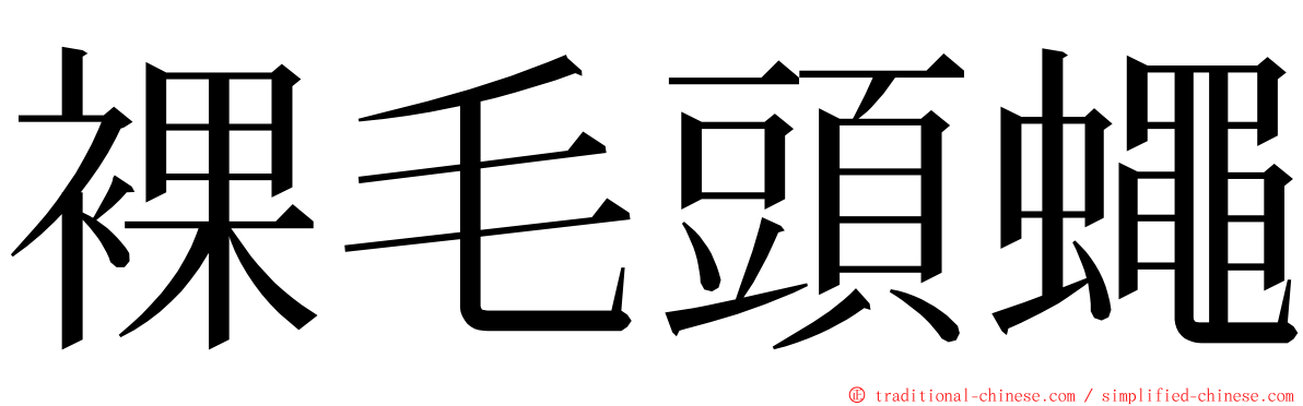 裸毛頭蠅 ming font