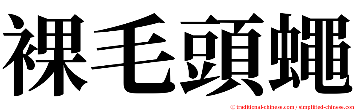 裸毛頭蠅 serif font