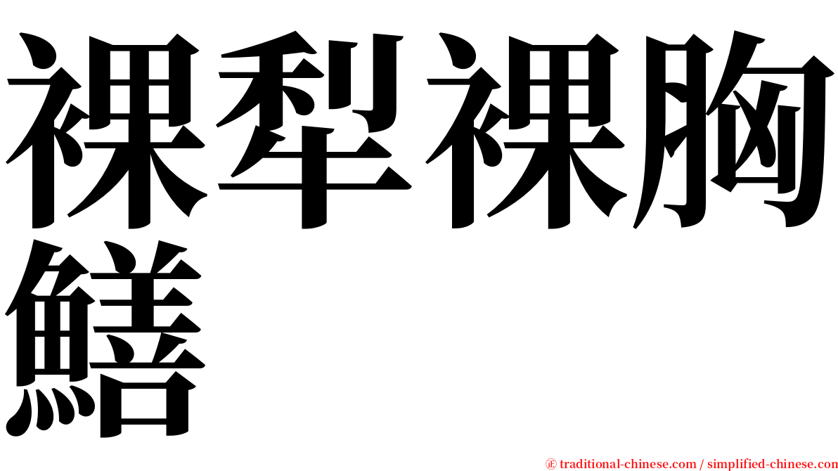 裸犁裸胸鱔 serif font