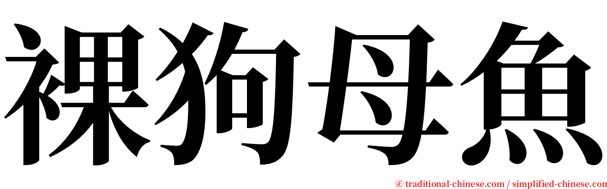 裸狗母魚 serif font