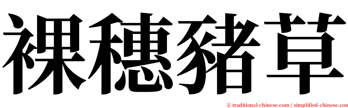 裸穗豬草 serif font