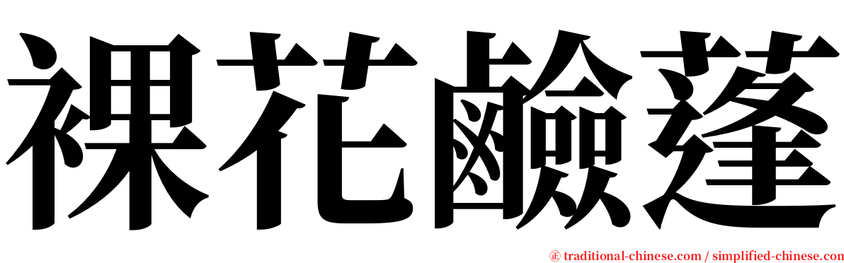 裸花鹼蓬 serif font