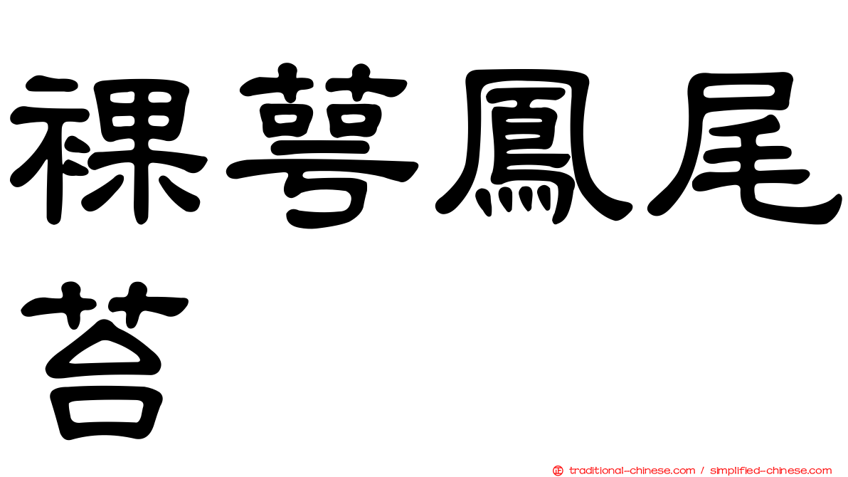 裸萼鳳尾苔