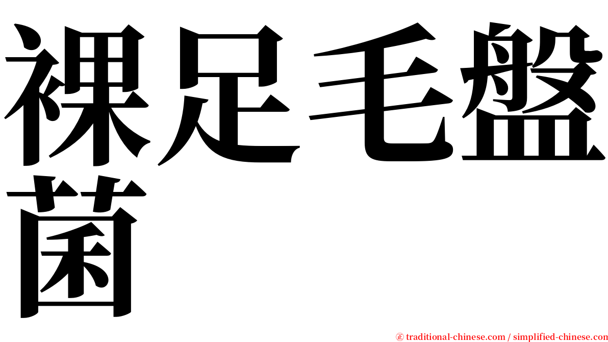 裸足毛盤菌 serif font