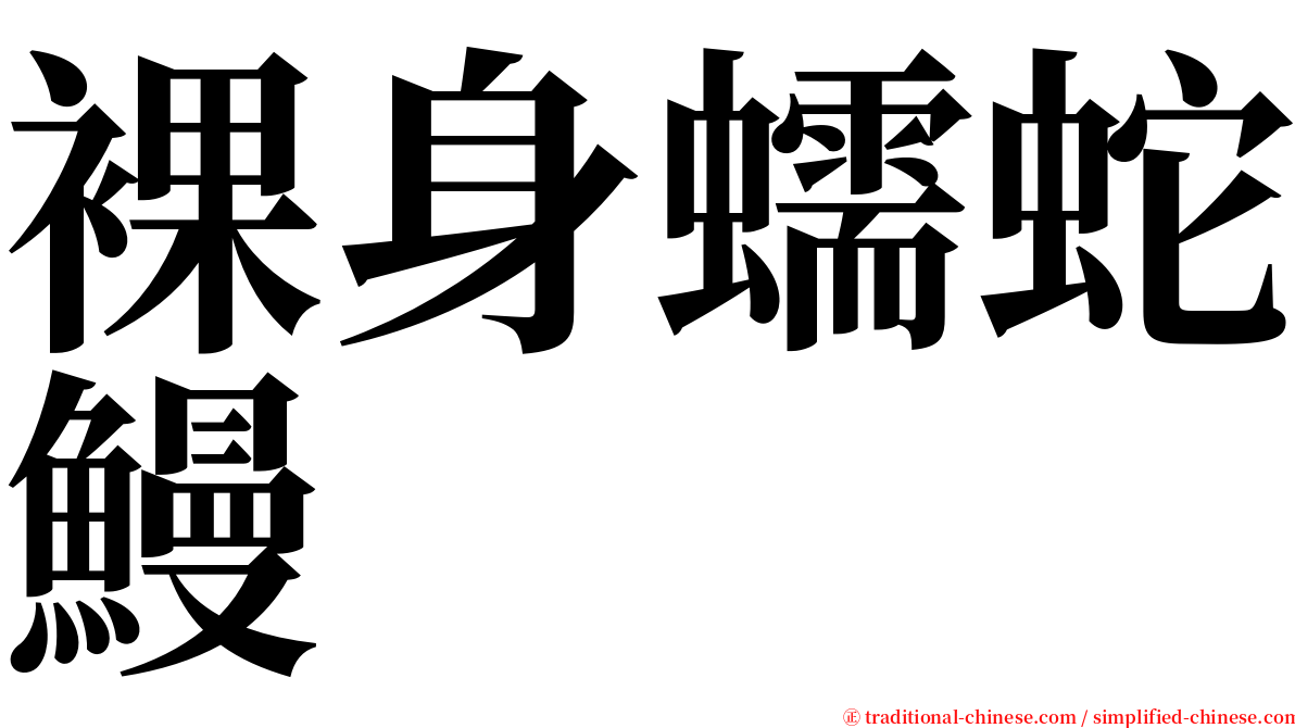 裸身蠕蛇鰻 serif font