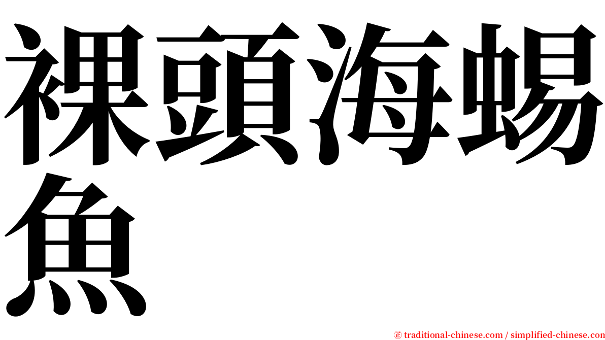 裸頭海蜴魚 serif font